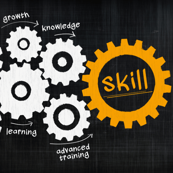 skills development